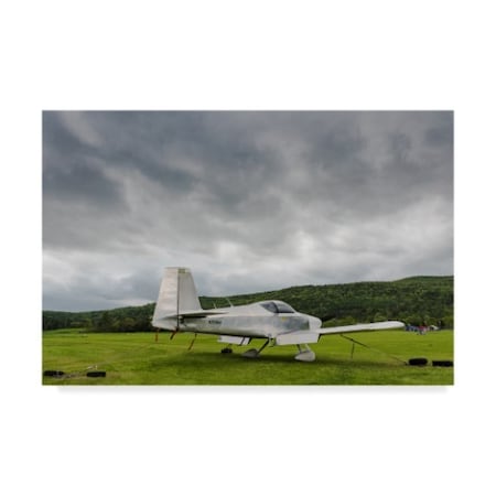 Brenda Petrella Photography Llc 'Grounded Today' Canvas Art,30x47